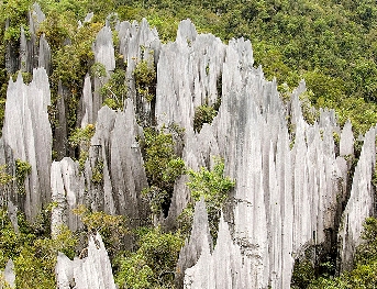 Gunung Mulu